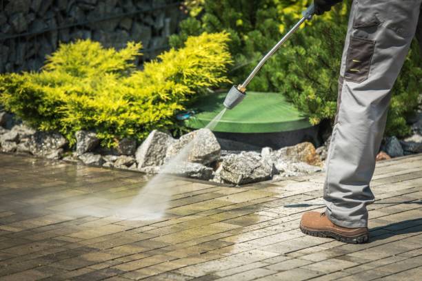 Best Winterizing Services  in Nsfield Center, MA