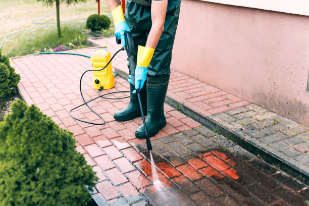 Best Warehouse Cleaning  in Nsfield Center, MA